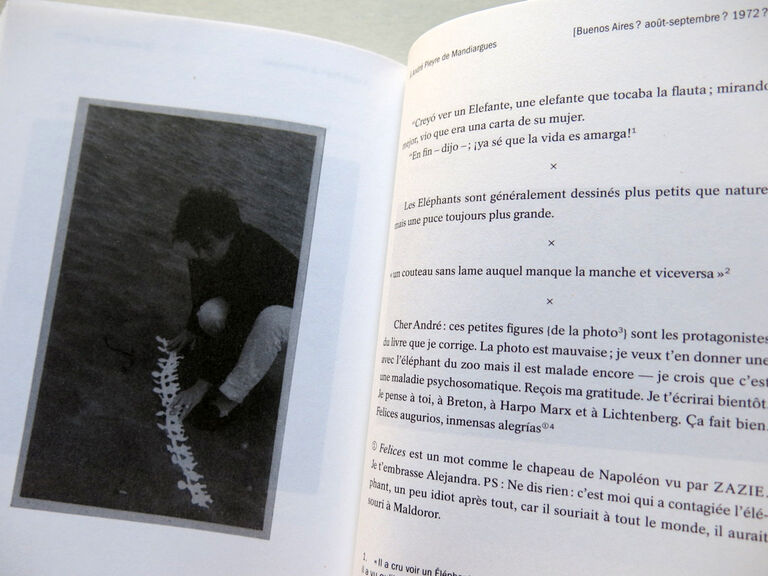 Correspondance — Alejandra Pizarnik, André Pieyre de Mandiargues