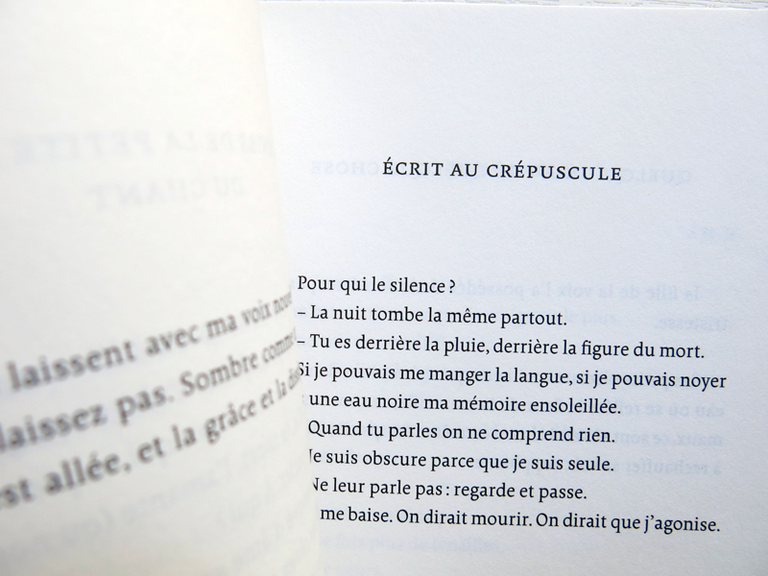 Approximations — Alejandra Pizarnik