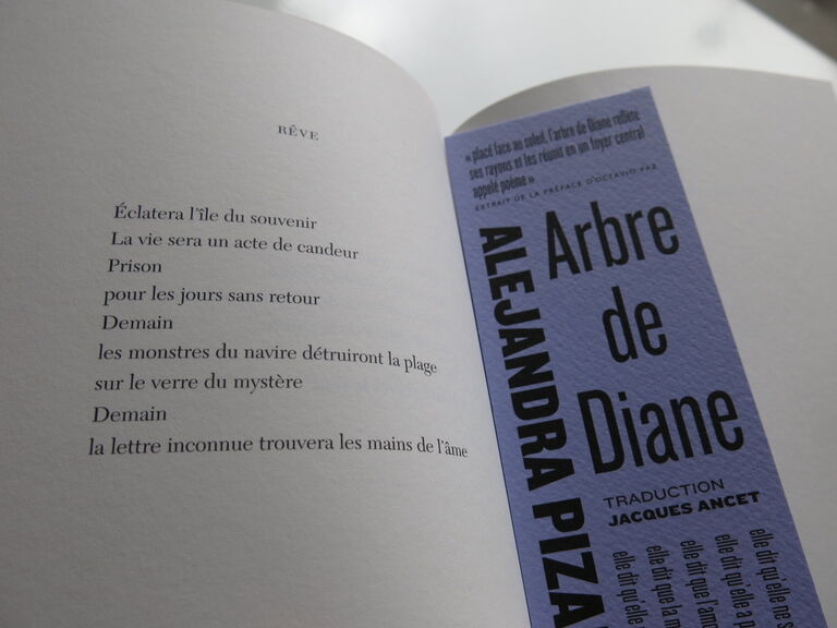 Arbre de Diane — Alejandra Pizarnik