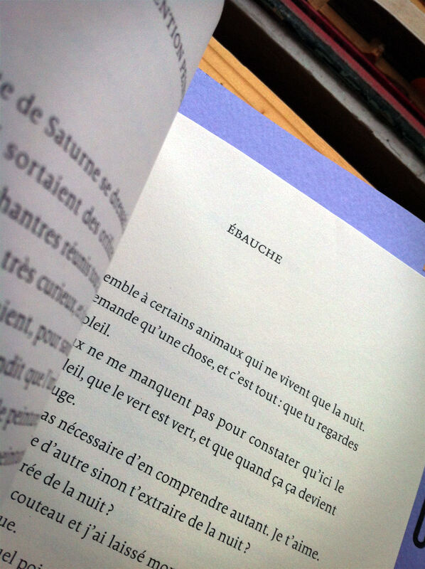 Cahier jaune — Alejandra Pizarnik