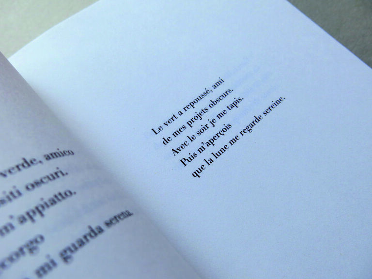 Croix et délice — Sandro Penna, Natalia Ginzburg, Amelia Rosselli, Pier Paolo Pasolini