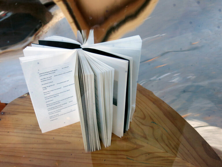 Il n’y a pas assez de feuilles — Susan Howe