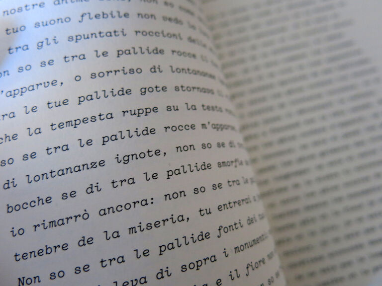 La Libellule — Amelia Rosselli