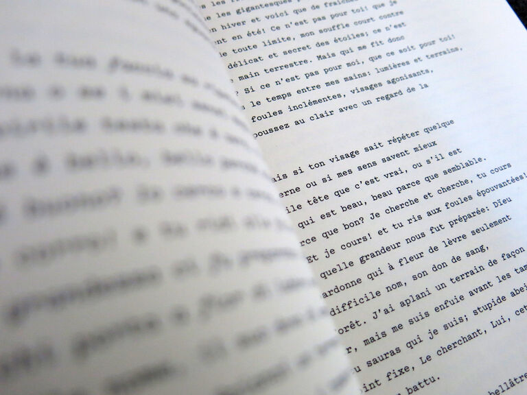 La Libellule — Amelia Rosselli