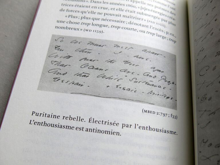 La marque de naissance — Susan Howe