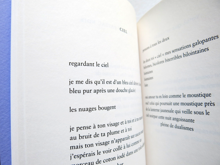 La terre la plus étrangère — Alejandra Pizarnik