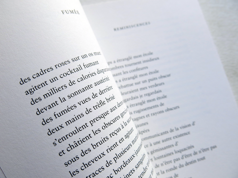 La terre la plus étrangère — Alejandra Pizarnik