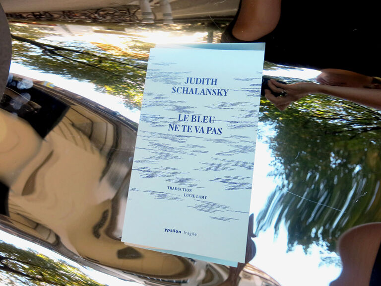Le bleu ne te va pas — Judith Schalansky
