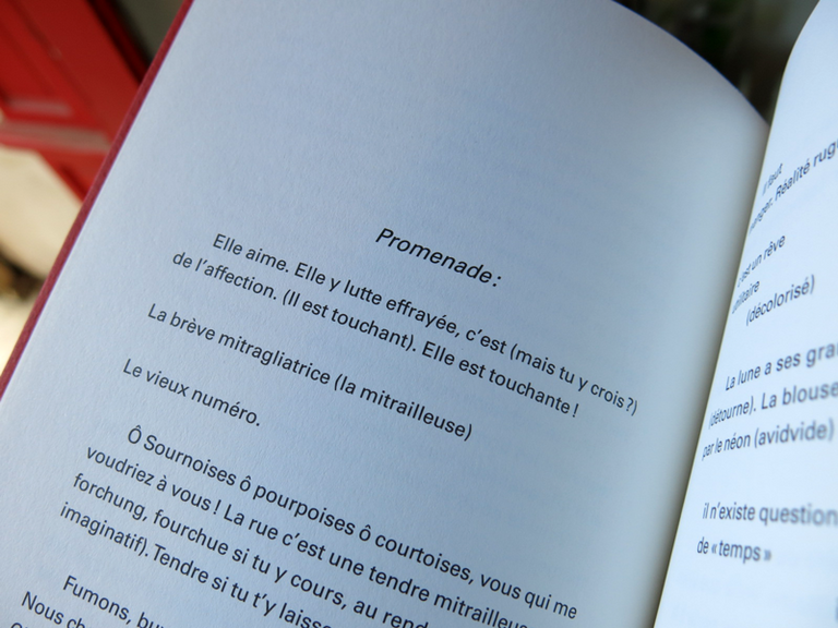 Le Chinois à Rome — Amelia Rosselli