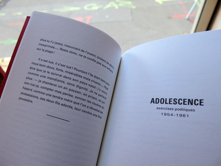 Le Chinois à Rome — Amelia Rosselli