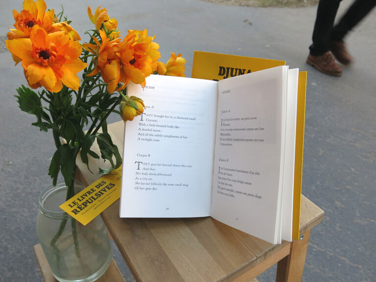 Le Livre des répulsives — Djuna Barnes, Liliane Giraudon