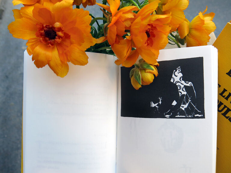 Le Livre des répulsives — Djuna Barnes, Liliane Giraudon