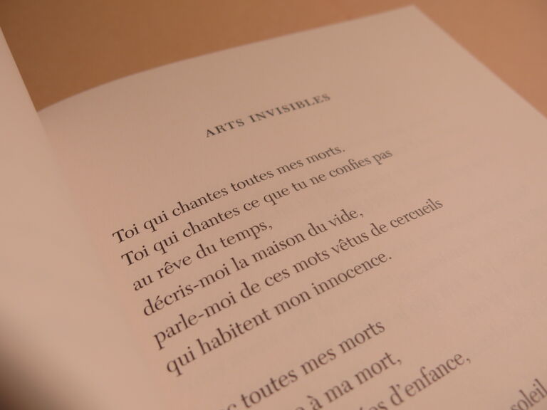 Les aventures perdues — Alejandra Pizarnik