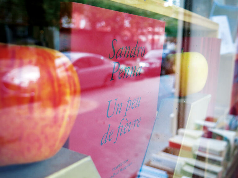 Un peu de fièvre — Sandro Penna, Pier Paolo Pasolini