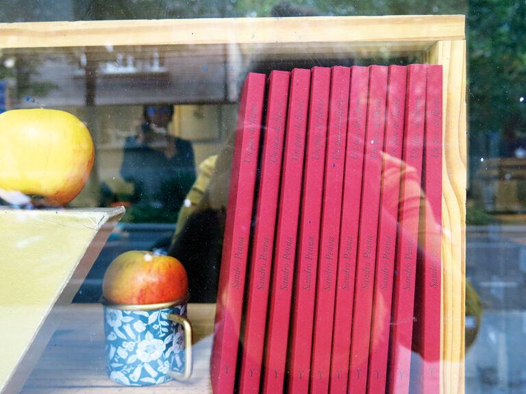 Un peu de fièvre — Sandro Penna, Pier Paolo Pasolini